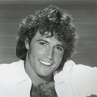 Andy Gibb