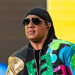 Stevie Wonder