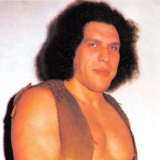 André the Giant