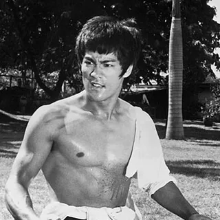 Bruce Lee