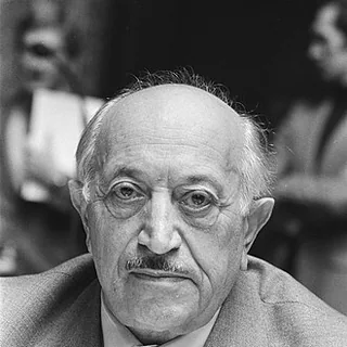 Simon Wiesenthal